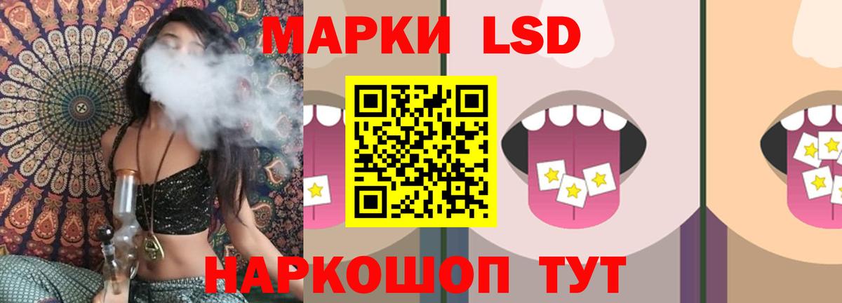 ЛСД экстази ecstasy  Вход с VPN  Бердск  LSD-25 экстази ecstasy 