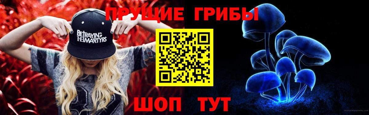 Галлюциногенные грибы MAGIC MUSHROOMS  Вход с VPN  где найти наркотики  Бердск 